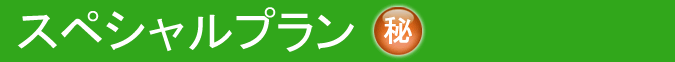 スペシャルプラン