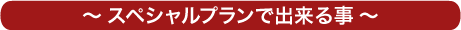 ～ スペシャルプランで出来る事 ～