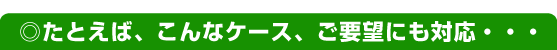 たとえば、こんなケース、ご要望にも対応・・・